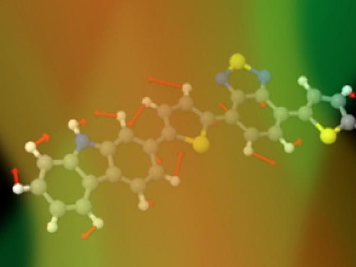 Le panneau solaire organique dévoile ses secrets